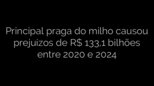 ​Principal praga do milho causou prejuízos de R$ 133,1 bilhões entre 2020 e 2024 